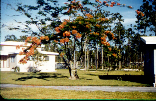 Herbert Henry Redhead and Mildred Grace Crowe Redhead - New Home - Homestead Florida