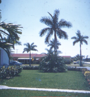 Ixora Motel - Homestead, Florida