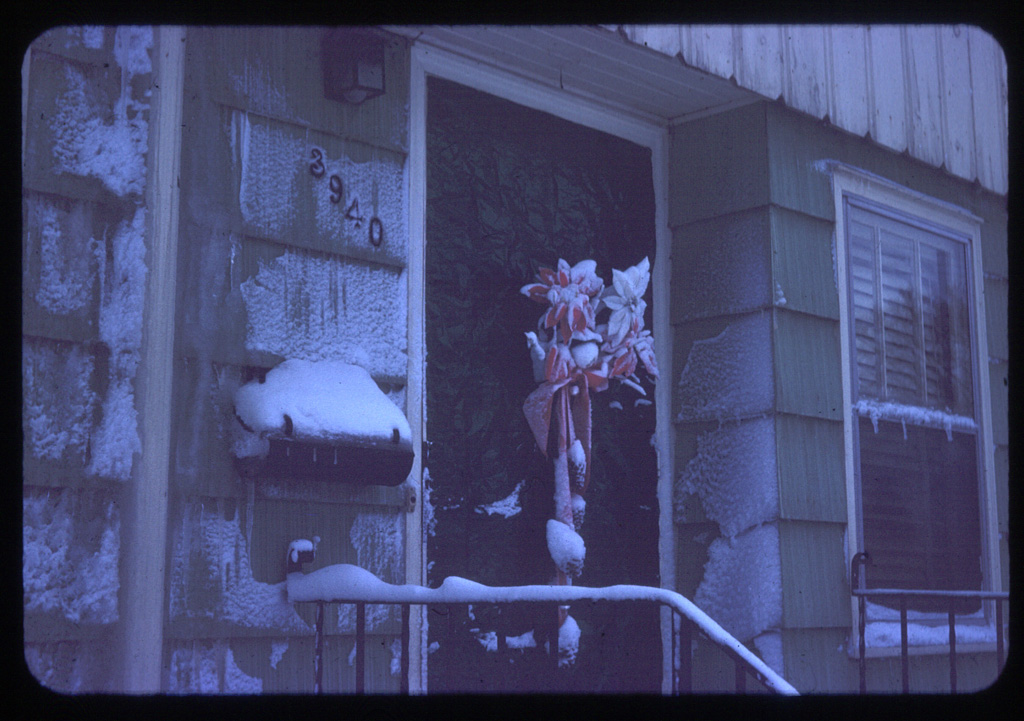 My front door, green foil, red and white pointsettas, pine cones, silver beads