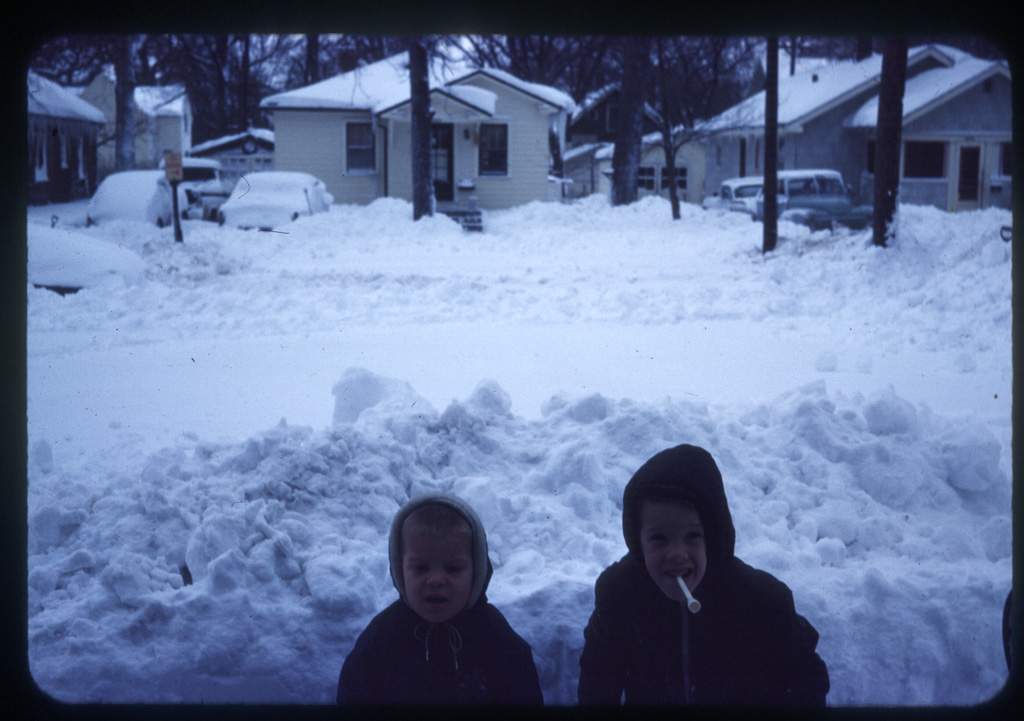 They are standing up and the snow behind is how deep it was on the ground