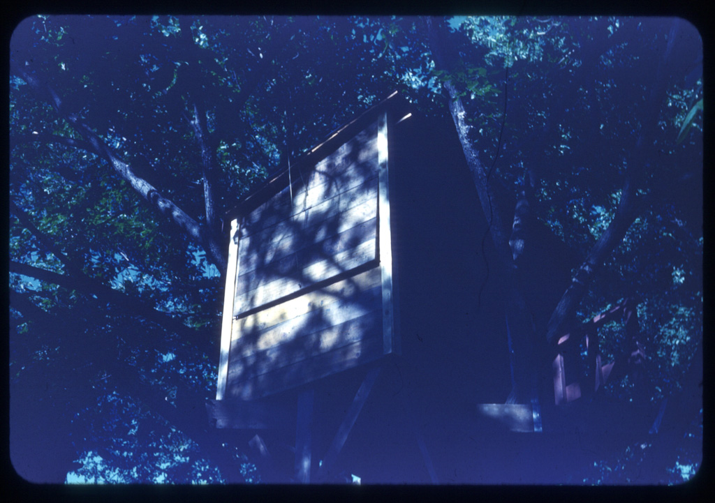 Treehouse