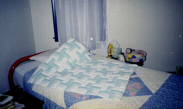 Joy Gilchrist quilt