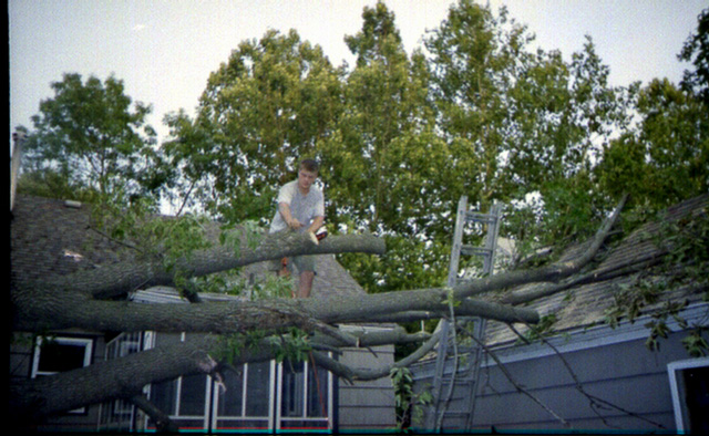 Justin Craig, Ash Tree Down