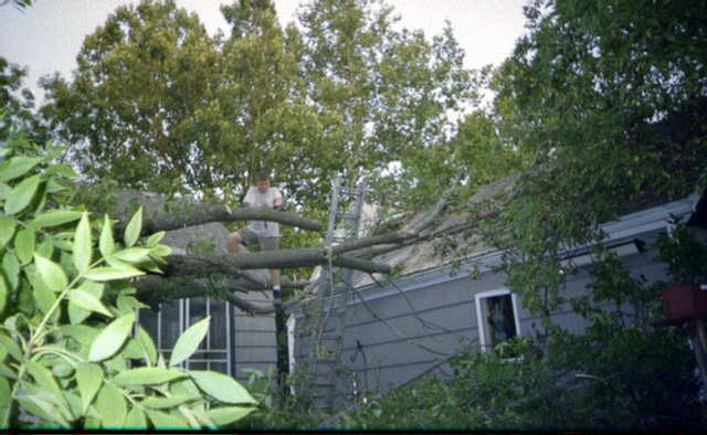 Justin Craig, Ash Tree Down