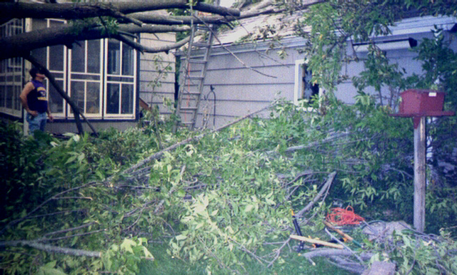 Larry Gilchrist, Justin Craig, Ash Tree Down