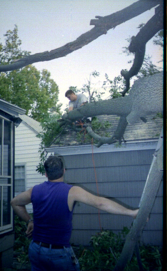 Larry Gilchrist, Justin Craig, Ash Tree Down