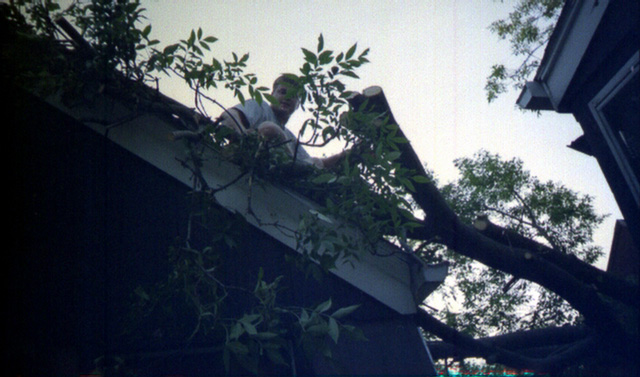 Justin Craig, Ash Tree Down