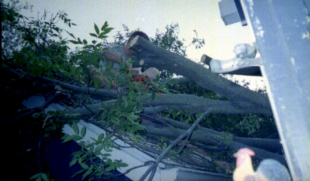 Justin Craig, Ash Tree Down