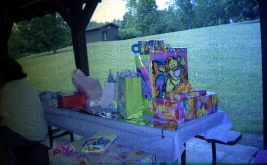 Linda Mollman, Birthday, Cottonwood, Saylorville Lake