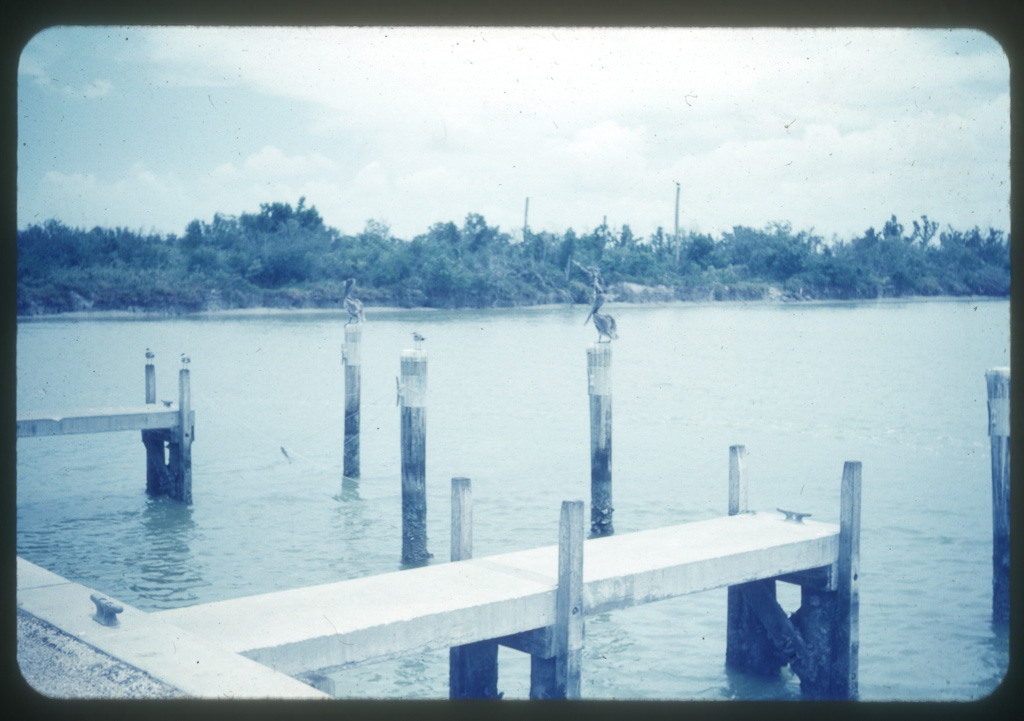 Homestead Florida