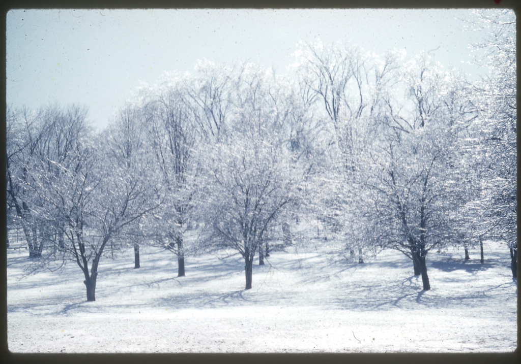 Des Moines - Union Park - March 61 Ice Storm