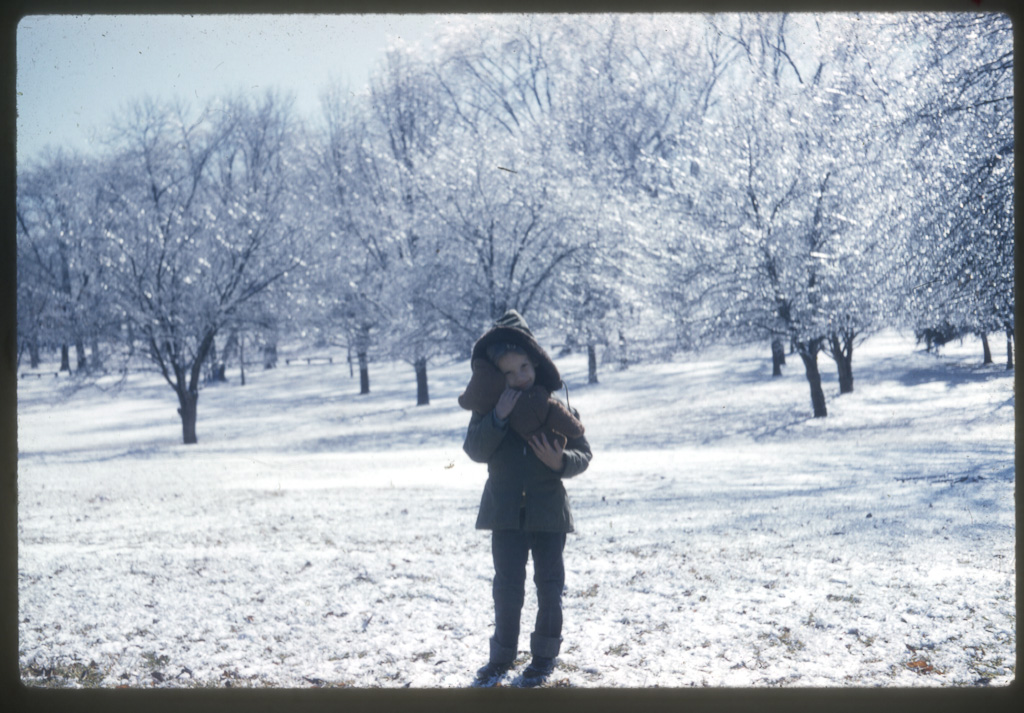 Des Moines - Union Park - March 61 Ice Storm - Larry Alan Gilchrist, Brownie