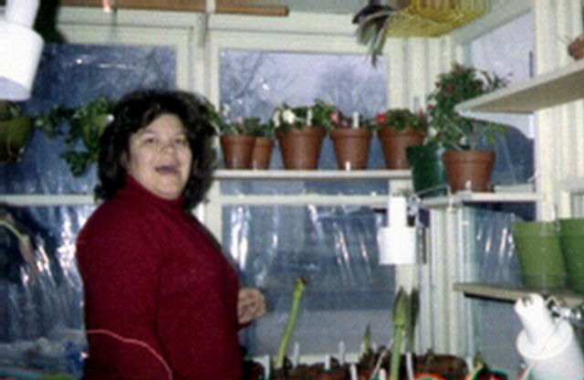 Linda Jean Gilchrist Mollman
