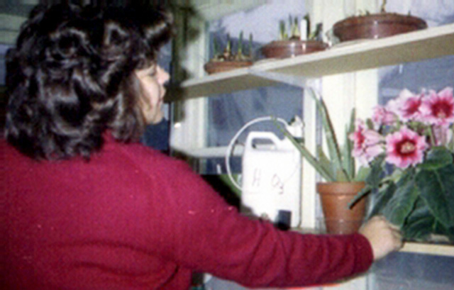 Linda Jean Gilchrist Mollman