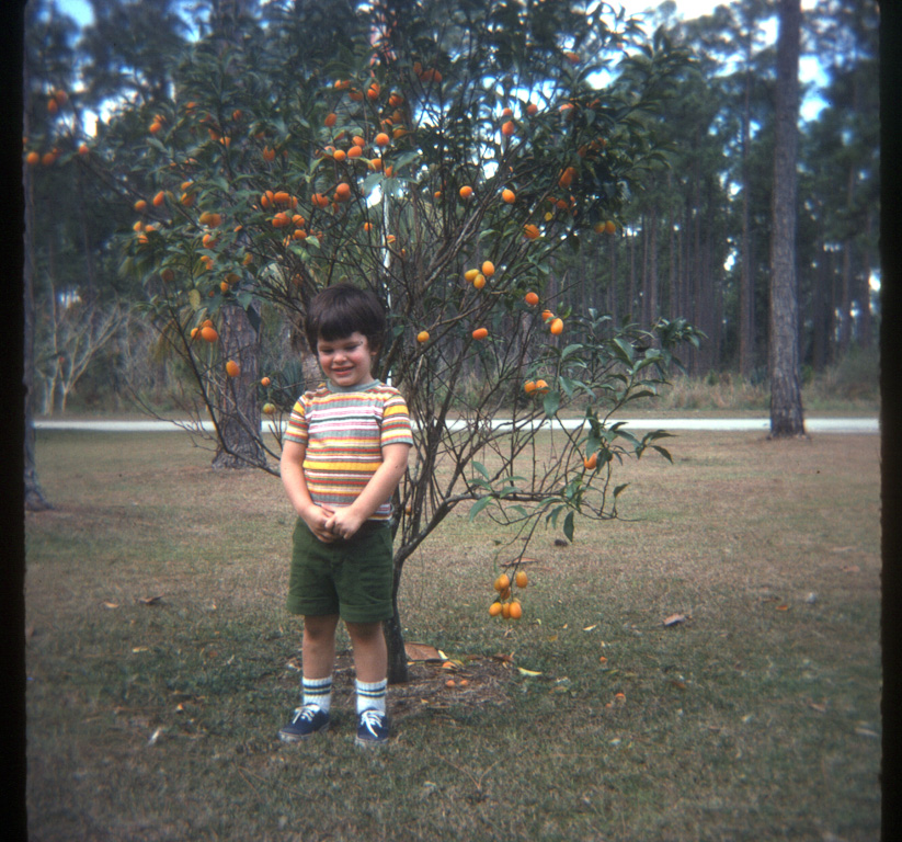 Andrew Paul Mollman