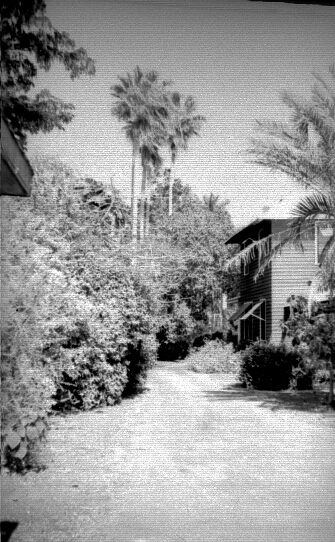 Florida