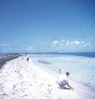 Florida - Herbert Kelland Redhead, Wesley Dale Redhead