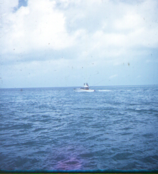 Passing Boat - Florida