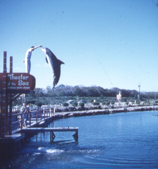 Theater of the Sea - Miami Florida