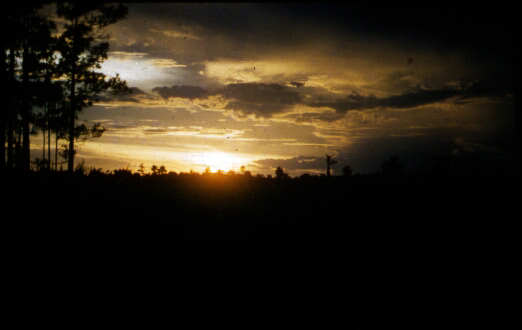 Sunset Florida