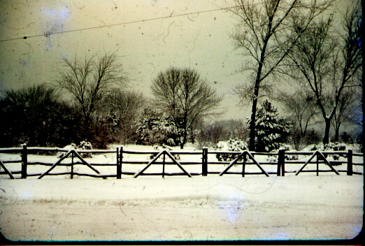 Snow
