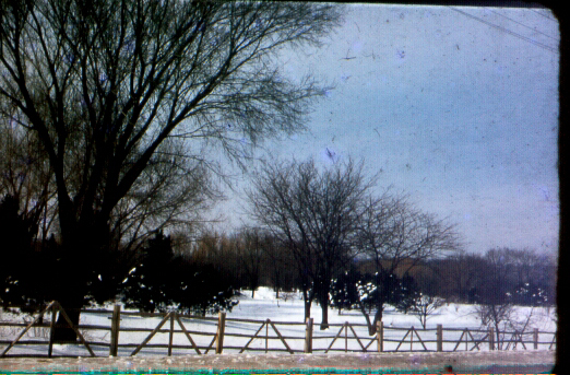 Snow
