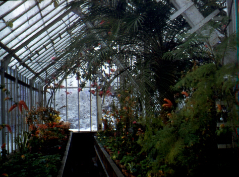 Greenhouse