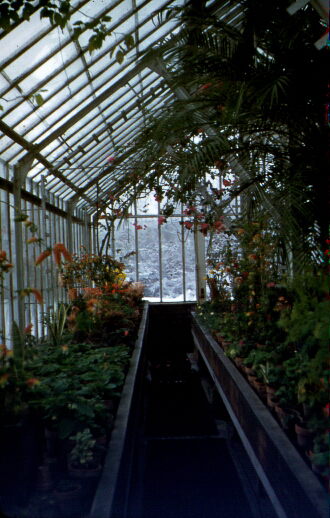 Greenhouse