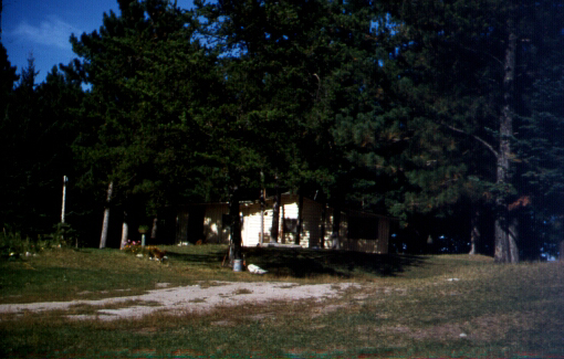 Twin Pines Resort - Minnesota