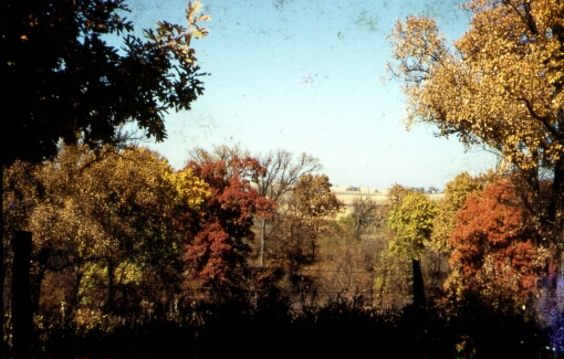 Fall Colors