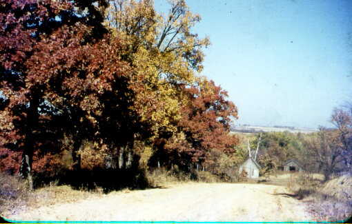 Fall Colors