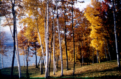 Monsen Resort - Walker, Minnesota