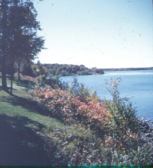 Twin Pines Resort - Minnesota