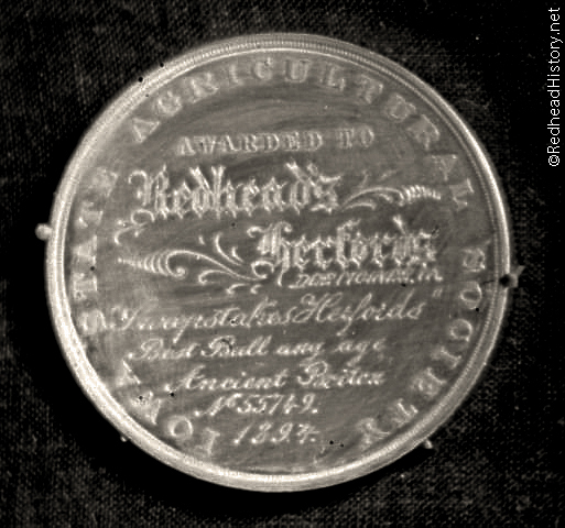 Coin awarded for Ancient Briton - Herford best bull any age - 1897