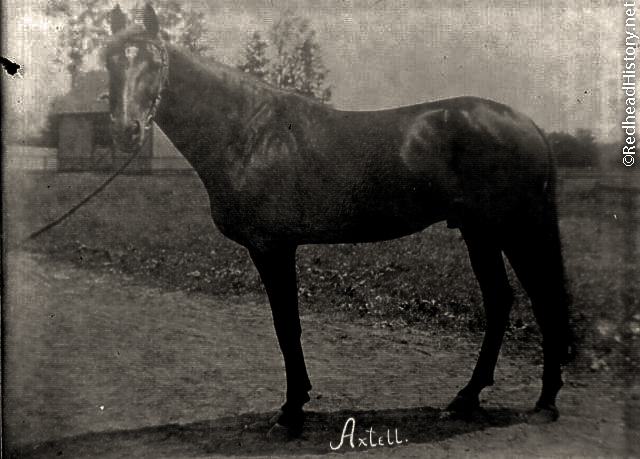 Axtell