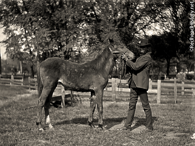 Jeff Logan with a horse