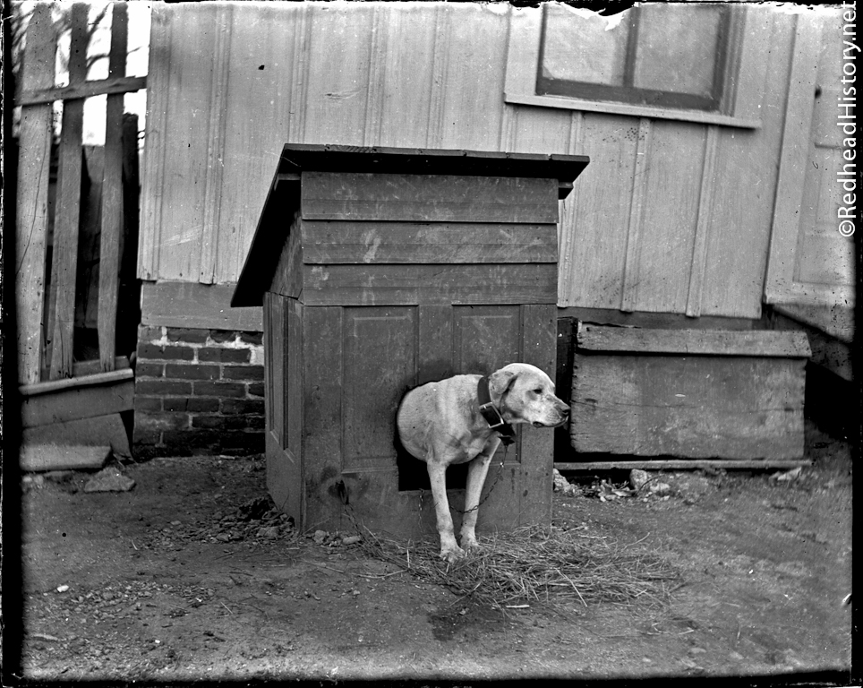 Doghouse outside of the barn