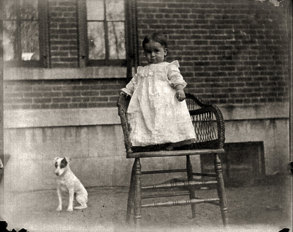 Herbert Henry and the dog outside kitchen