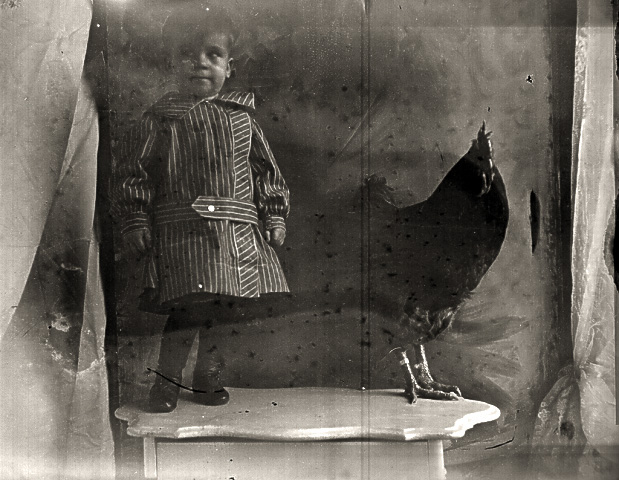 Herbert Henry Redhead and a Rhode Island Red
